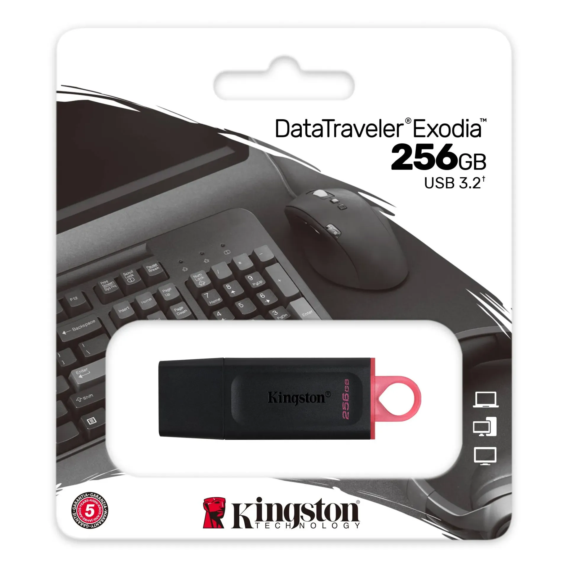 [101397] Kingston DataTraveler Exodia 256GB USB 3.2 Flash Drive | DTX/256GB