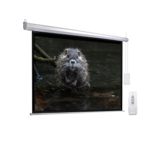 Buerotika Electric Wall Screen With Rf Remote Control | BW18-E300