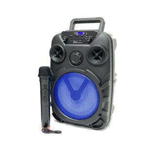 Sing-E Super Bass Bluetooth Karaoke Speaker | ZQS8122