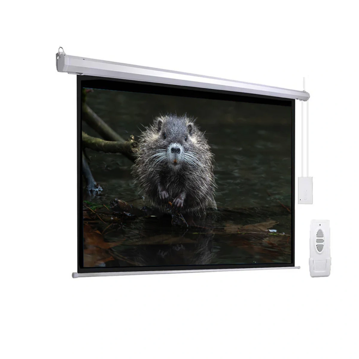 Buerotika Electric Wall Projector Screen White 200cm x 200cm BW18-E200 – WEBP -1