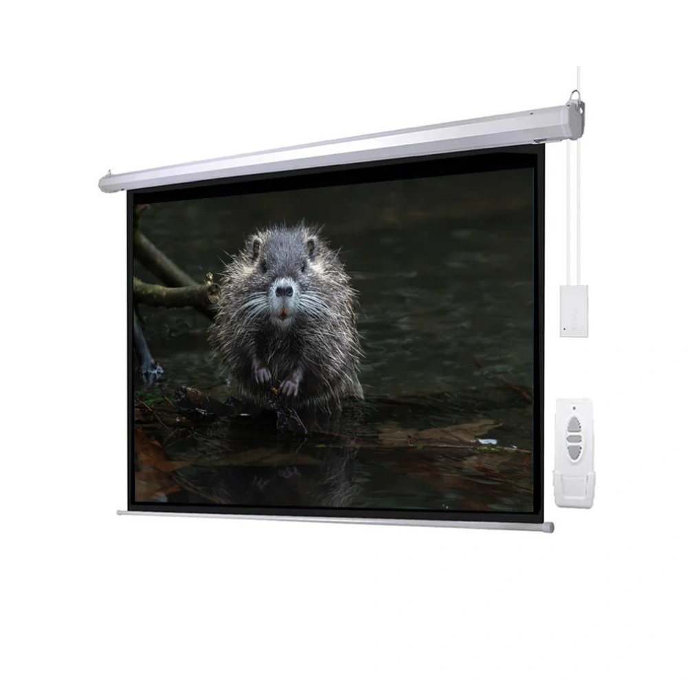 Buerotika Electric Wall Projector Screen White 200cm x 200cm BW18-E200 – WEBP -2