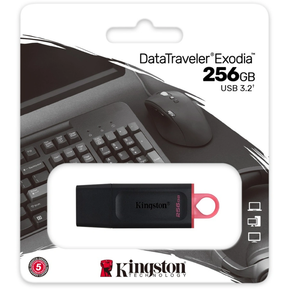 Kingston DataTraveler Exodia 256GB USB 3.2 Flash Drive DTX256GB – WEBP -1